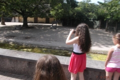 Frankfurter-Zoo2014-60