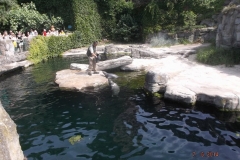 Frankfurter-Zoo2014-66