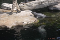 Frankfurter-Zoo2014-67