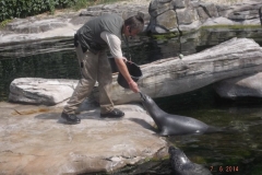 Frankfurter-Zoo2014-68