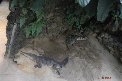 Frankfurter-Zoo2014-71