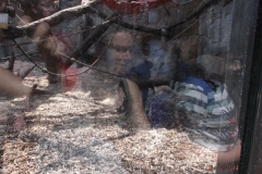 Frankfurter-Zoo2014-73