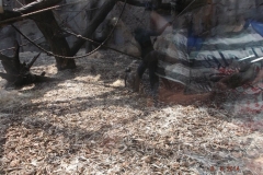 Frankfurter-Zoo2014-74