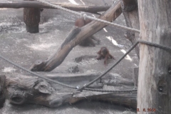 Frankfurter-Zoo2014-75