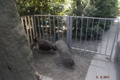 Frankfurter-Zoo2014-76