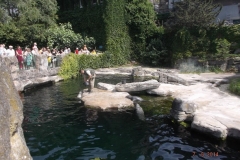 Frankfurter-Zoo2014-65
